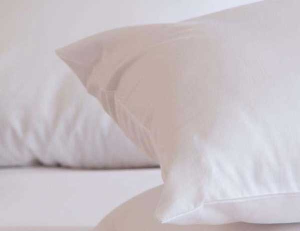 Pure Living Space Pillows